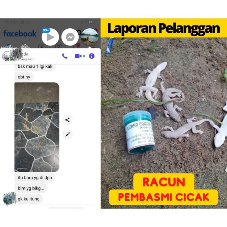 2310eea5-25cb-49b3-b79c-937085d494a0