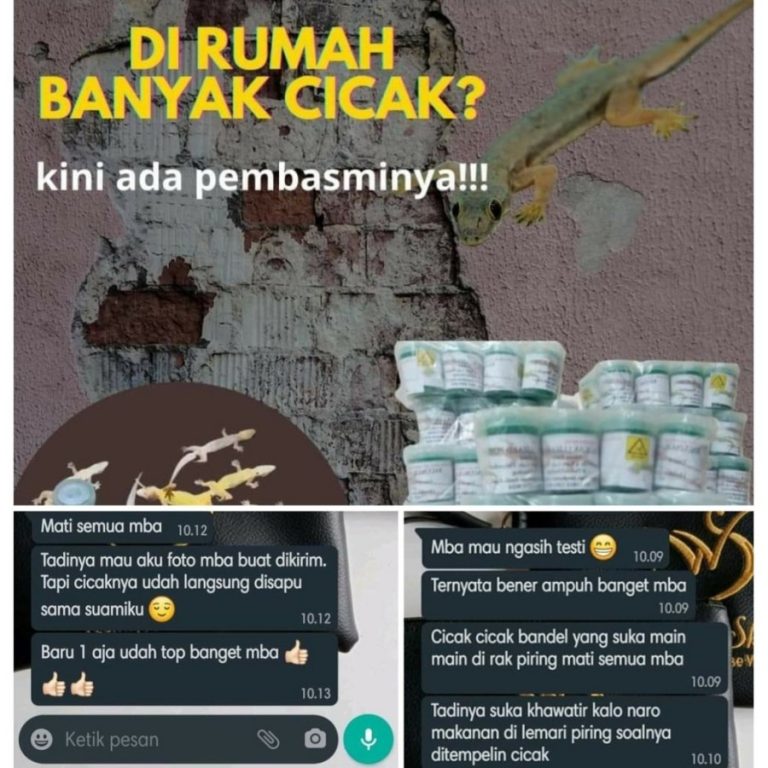 5fa4b69c-8f8a-4b56-9d44-fffdf4a2166a