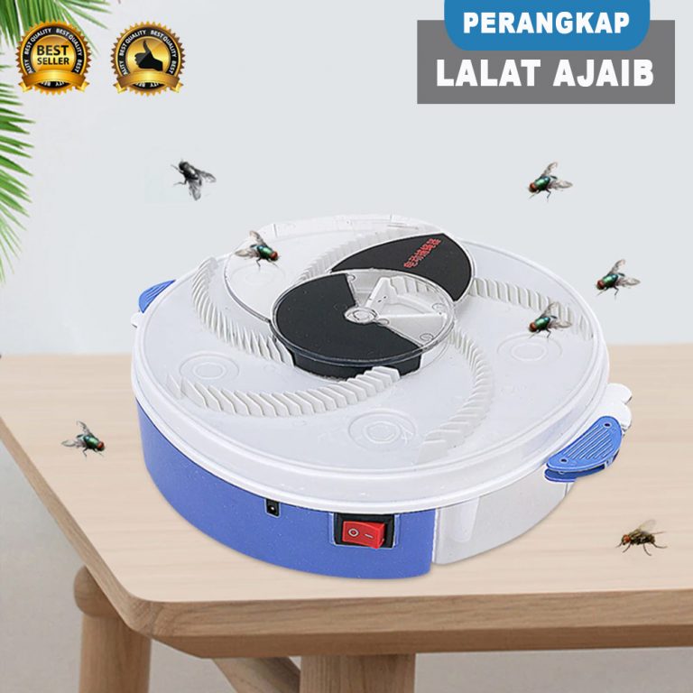 lalat 1