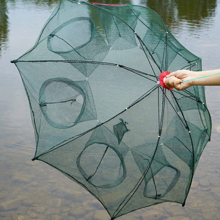 ikan 3