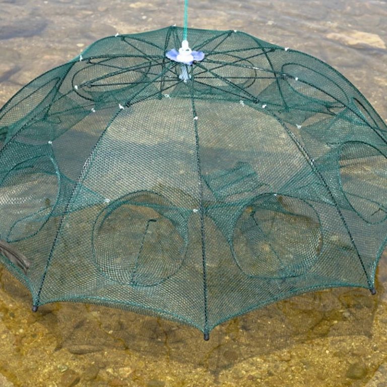 ikan 4